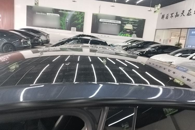 Used Tesla Model Y 2021 Standard Range Rear-Wheel Drive Version Roof