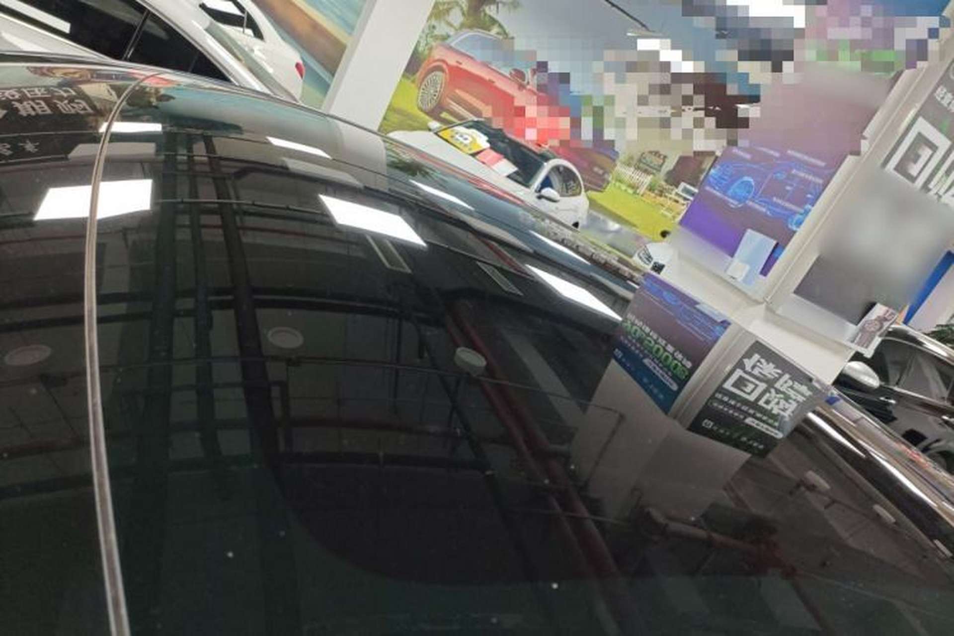 Used Tesla Model Y 2021 Standard Range Rear-Wheel Drive Version Roof