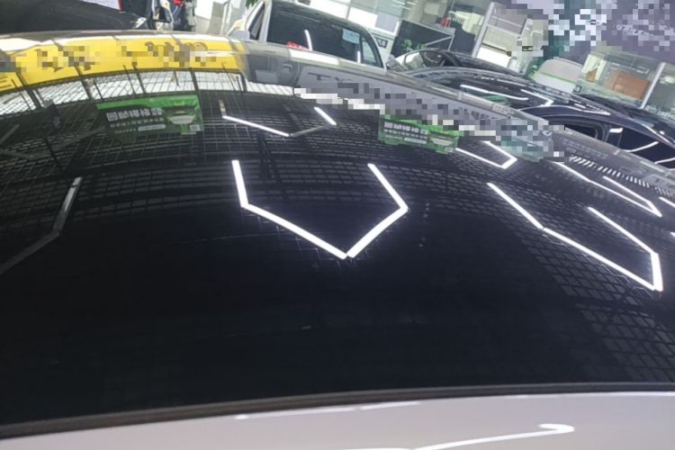 Used Tesla Model Y 2021 Standard Range Rear-Wheel Drive Version Roof