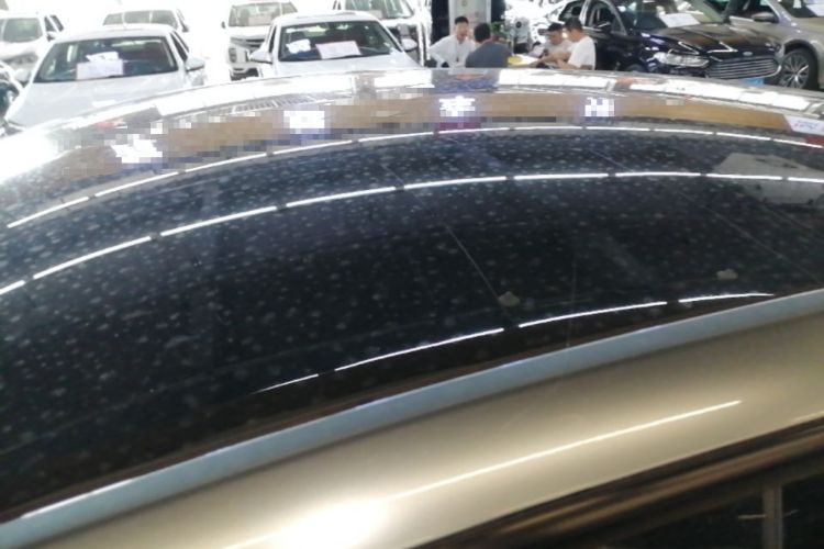 Used Tesla Model Y 2021 Standard Range Rear-Wheel Drive Version Roof