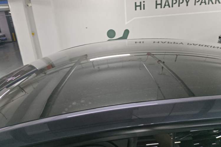 Used Tesla Model Y 2021 Long-Range All-Wheel-Drive Version Roof