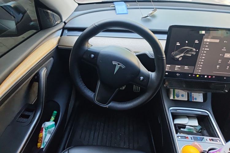 Used Tesla Model Y 2021 Standard Range Rear-Wheel Drive Version Steering Wheel