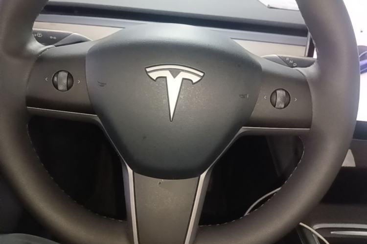 Used Tesla Model Y 2021 Standard Range Rear-Wheel Drive Version Steering Wheel