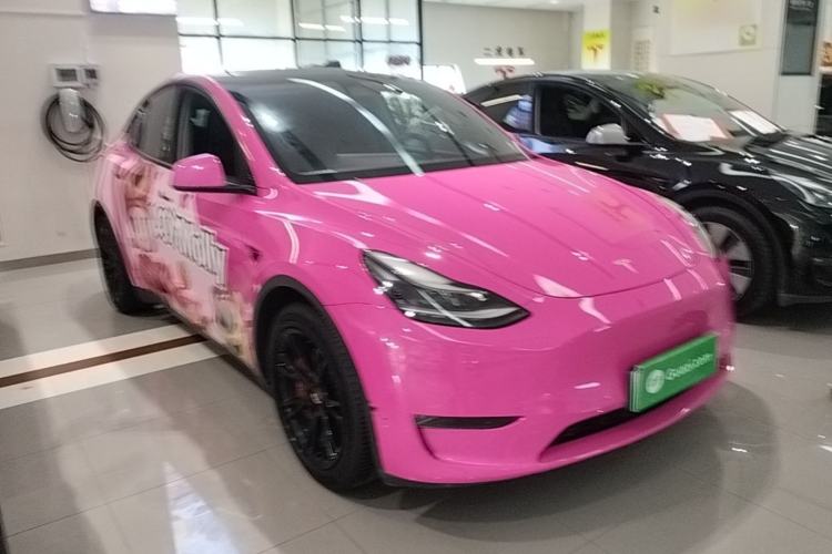 Used Tesla Model Y 2021 Standard Range Rear-Wheel Drive Version Exterior 1