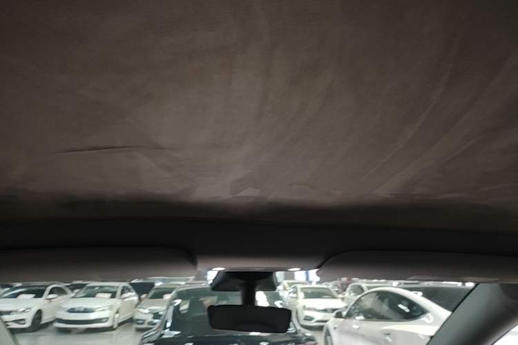 Used Tesla Model Y 2021 Standard Range Rear-Wheel Drive Version Headliner