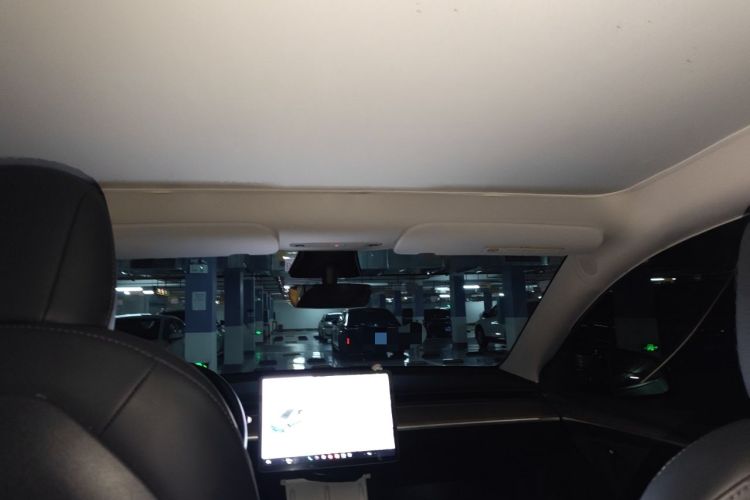 Used Tesla Model Y 2021 Standard Range Rear-Wheel Drive Version Headliner