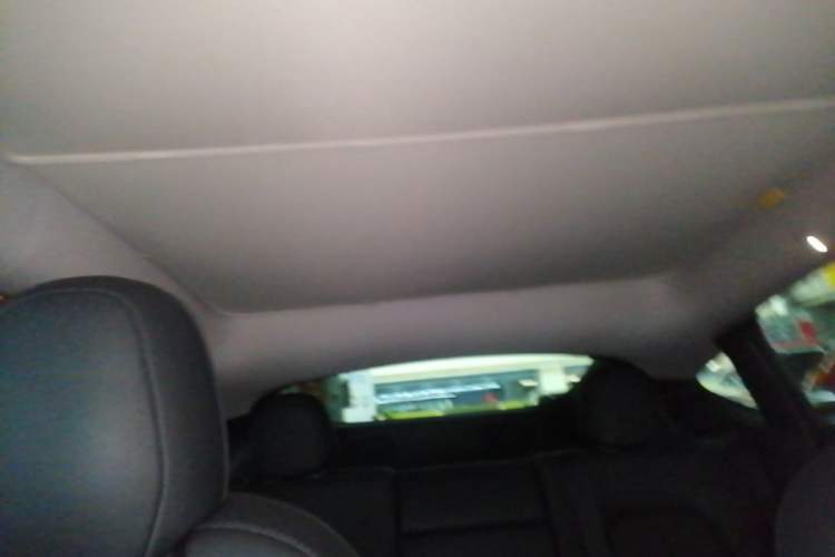 Used Tesla Model Y 2021 Long-Range All-Wheel-Drive Version 3D7 Headliner