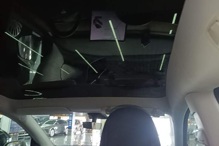 Used Tesla Model Y 2021 Long-Range All-Wheel-Drive Version Headliner