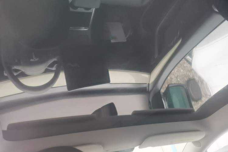 Used Tesla Model Y 2021 Long-Range All-Wheel-Drive Version Headliner