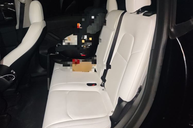 Used Tesla Model Y 2021 Standard Range Rear-Wheel Drive Version Left Rear Seat