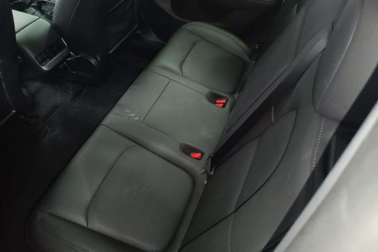 Used Tesla Model Y 2021 Long-Range All-Wheel-Drive Version Left Rear Seat