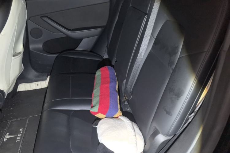 Used Tesla Model Y 2021 Standard Range Rear-Wheel Drive Version Left Rear Seat
