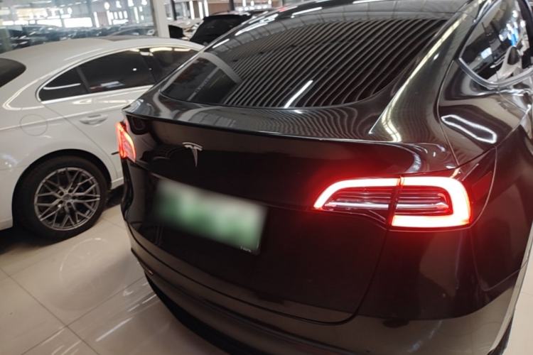 Used Tesla Model Y 2021 Standard Range Rear-Wheel Drive Version Rear
