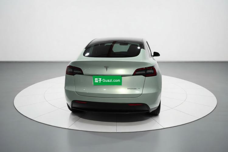 Used Tesla Model Y 2021 Standard Range Rear-Wheel Drive Version Rear