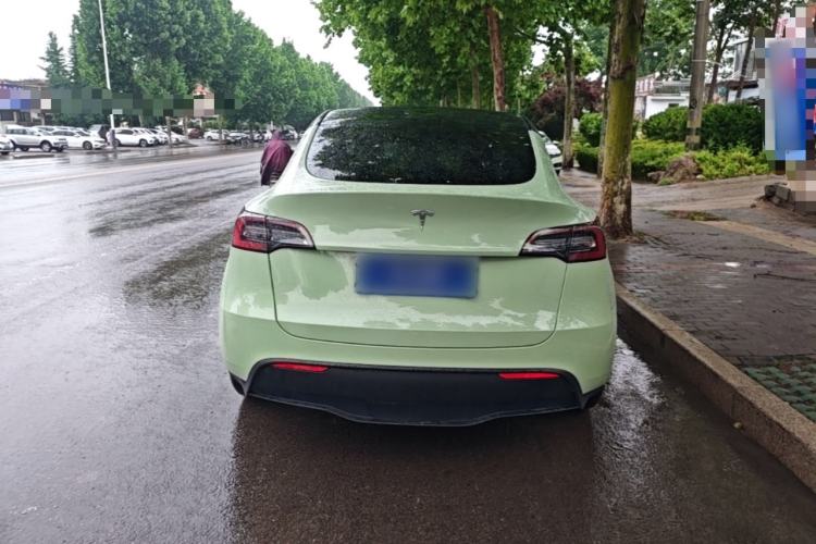 Used Tesla Model Y 2021 Standard Range Rear-Wheel Drive Version Rear