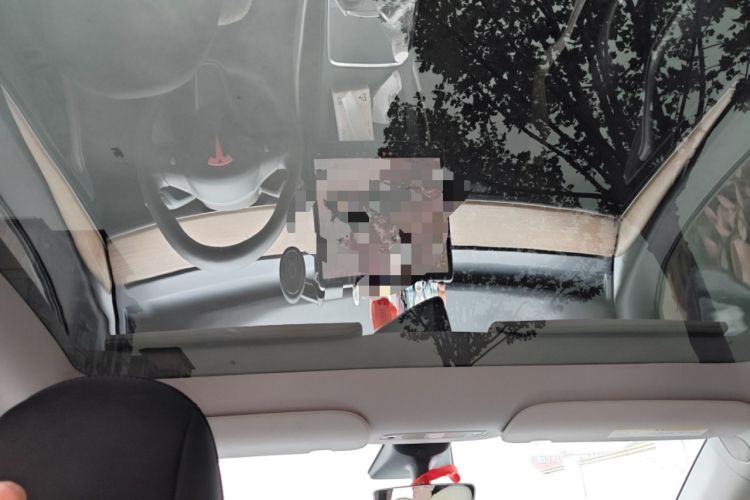Used Tesla Model Y 2021 Long-Range All-Wheel-Drive Version 3D7 Headliner