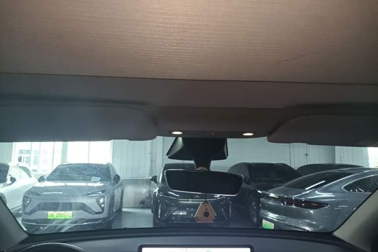 Used Tesla Model Y 2021 Performance High-Performance All-Wheel-Drive Version Headliner