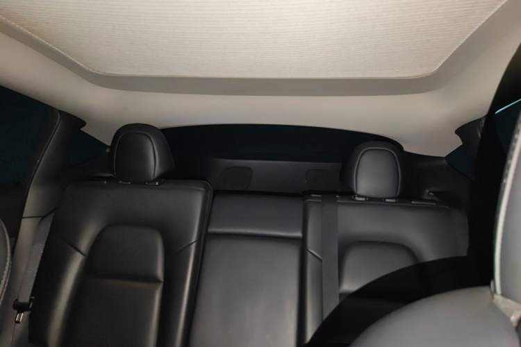 Used Tesla Model Y 2021 Long-Range All-Wheel-Drive Version Headliner