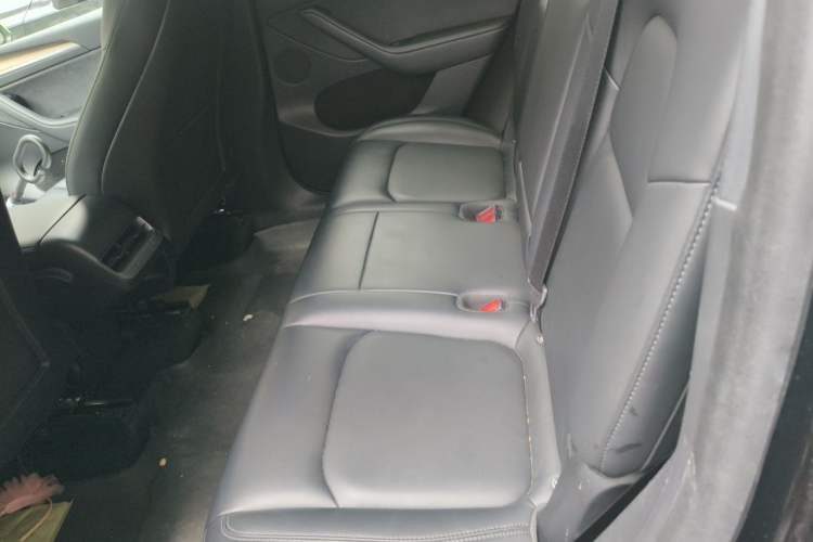 Used Tesla Model Y 2021 Standard Range Rear-Wheel Drive Version Left Rear Seat