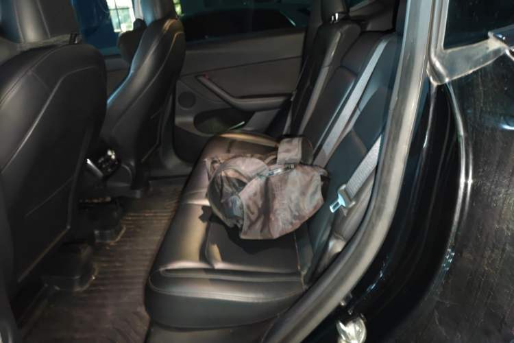 Used Tesla Model Y 2021 Long-Range All-Wheel-Drive Version Left Rear Seat