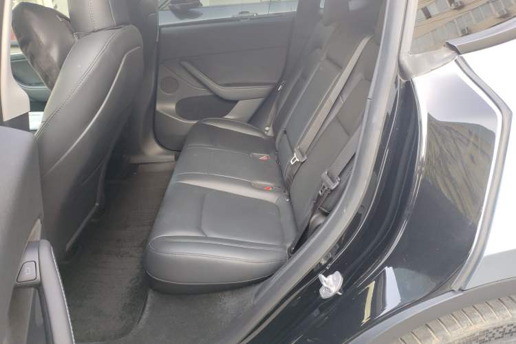 Used Tesla Model Y 2021 Standard Range Rear-Wheel Drive Version Left Rear Seat