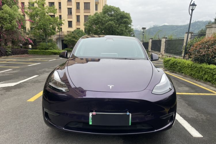 Used Tesla Model Y 2021 Standard Range Rear-Wheel Drive Version Exterior 1