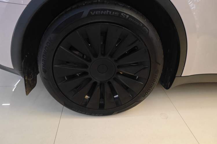 Used Tesla Model Y 2021 Standard Range Rear-Wheel Drive Version Exterior 5
