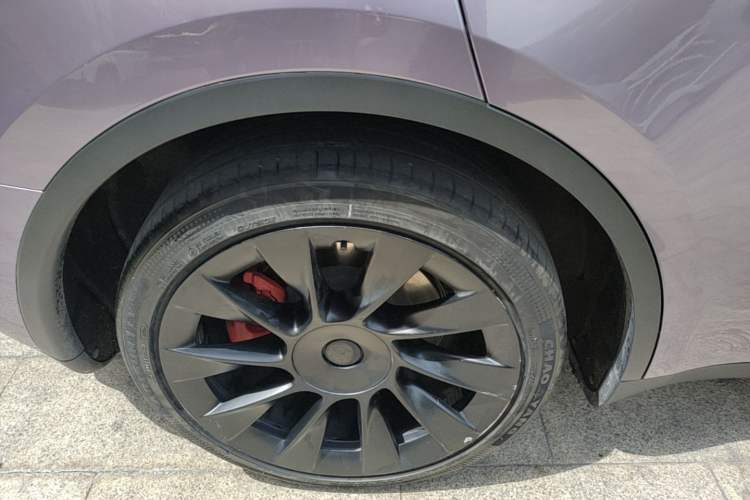 Used Tesla Model Y 2021 Standard Range Rear-Wheel Drive Version Exterior 5