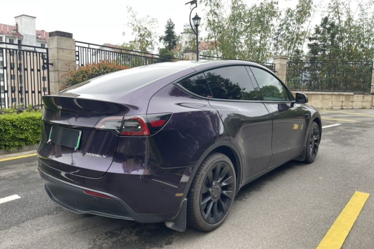 Used Tesla Model Y 2021 Standard Range Rear-Wheel Drive Version Exterior 6