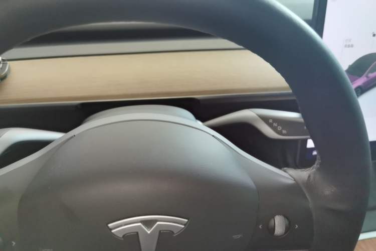 Used Tesla Model Y 2021 Standard Range Rear-Wheel Drive Version Gear Lever