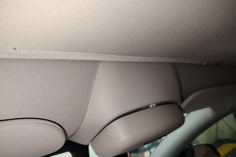 Used Tesla Model Y 2021 Standard Range Rear-Wheel Drive Version Headliner