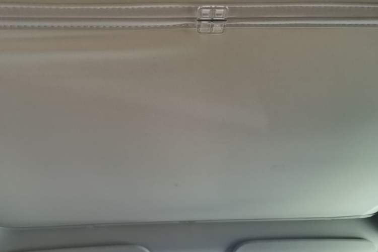 Used Tesla Model Y 2021 Standard Range Rear-Wheel Drive Version Headliner