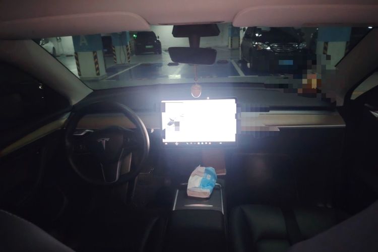 Used Tesla Model Y 2021 Standard Range Rear-Wheel Drive Version Headliner