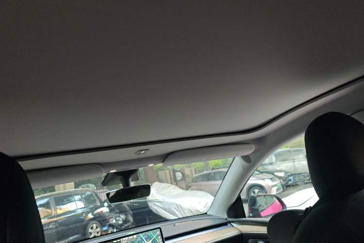 Used Tesla Model Y 2021 Long-Range All-Wheel-Drive Version Headliner
