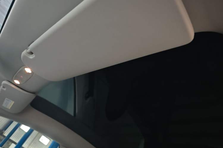 Used Tesla Model Y 2021 Standard Range Rear-Wheel Drive Version Headliner