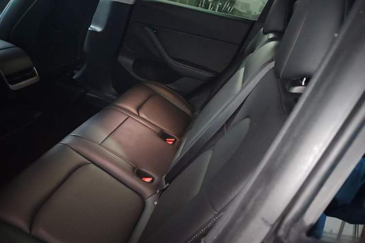 Used Tesla Model Y 2021 Standard Range Rear-Wheel Drive Version Left Rear Seat