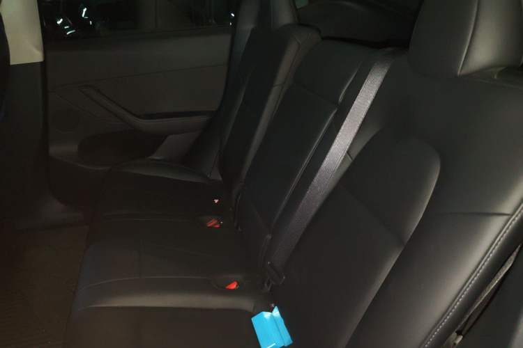 Used Tesla Model Y 2021 Standard Range Rear-Wheel Drive Version Left Rear Seat