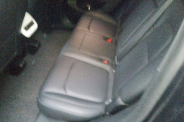 Used Tesla Model Y 2021 Standard Range Rear-Wheel Drive Version Left Rear Seat