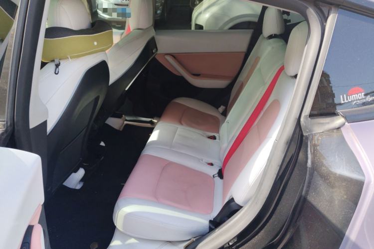 Used Tesla Model Y 2021 Standard Range Rear-Wheel Drive Version Left Rear Seat