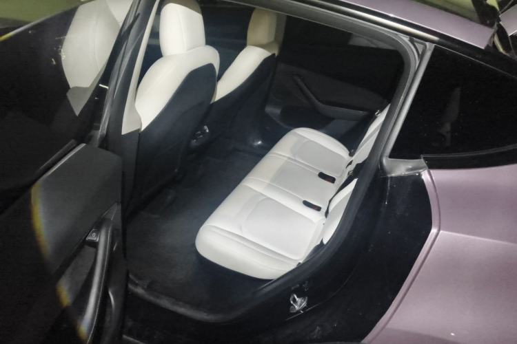 Used Tesla Model Y 2021 Standard Range Rear-Wheel Drive Version Left Rear Seat
