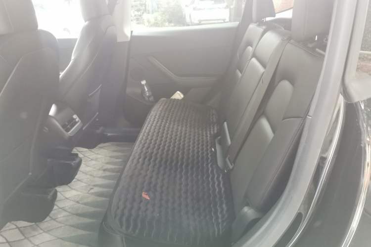 Used Tesla Model Y 2021 Standard Range Rear-Wheel Drive Version Left Rear Seat
