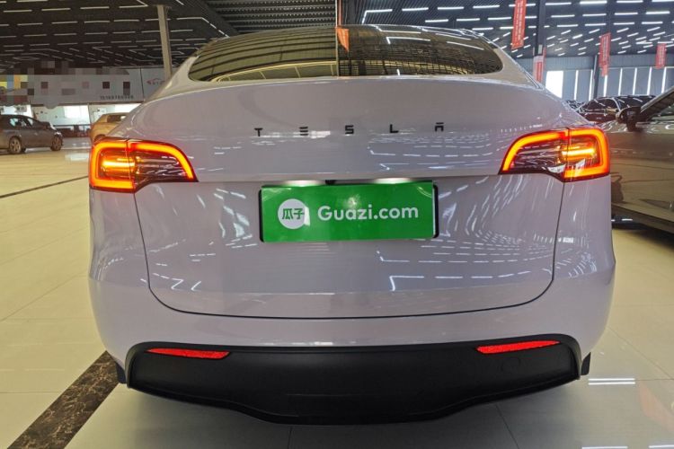 Used Tesla Model Y 2021 Standard Range Rear-Wheel Drive Version Rear