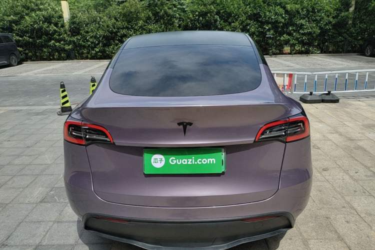 Used Tesla Model Y 2021 Standard Range Rear-Wheel Drive Version Rear
