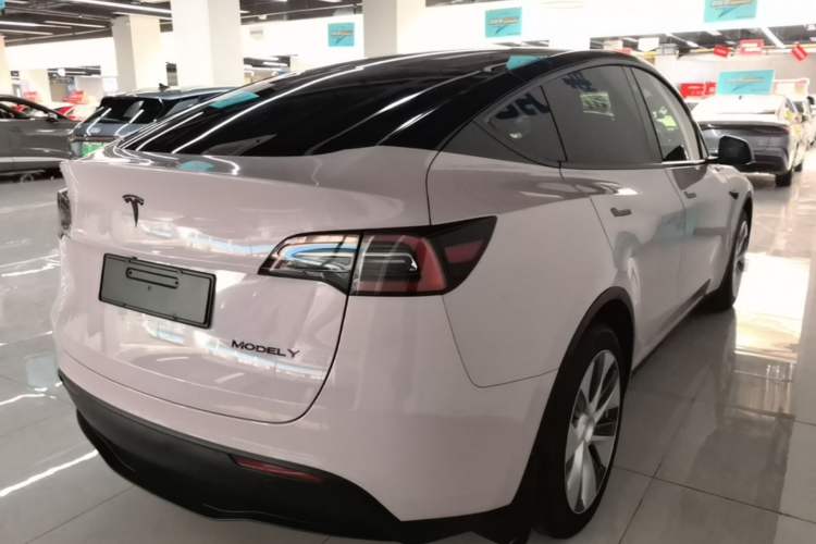 Used Tesla Model Y 2021 Standard Range Rear-Wheel Drive Version Rear Right 45 Deg