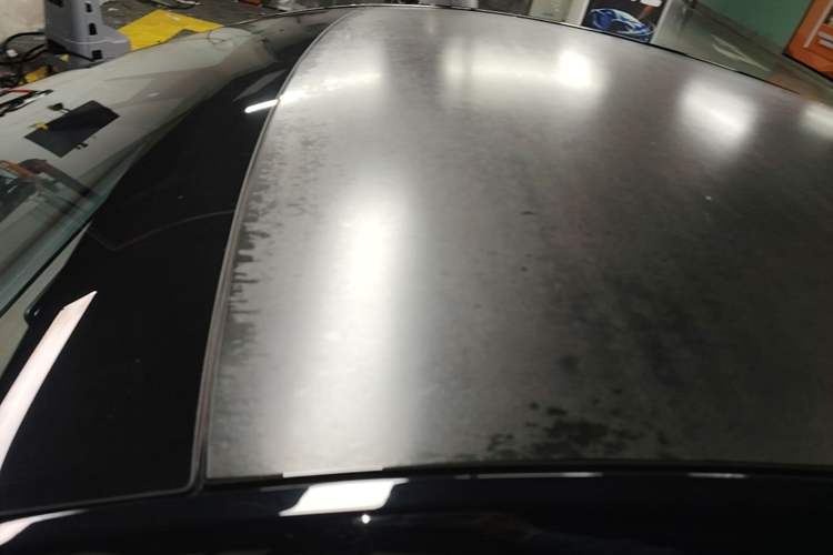 Used Tesla Model Y 2021 Standard Range Rear-Wheel Drive Version Roof