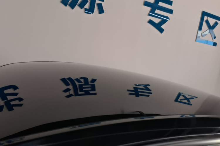 Used Tesla Model Y 2021 Standard Range Rear-Wheel Drive Version Roof