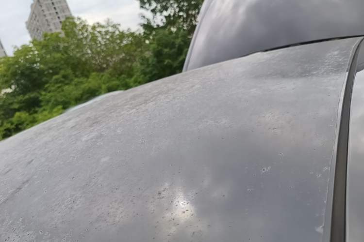 Used Tesla Model Y 2021 Standard Range Rear-Wheel Drive Version Roof
