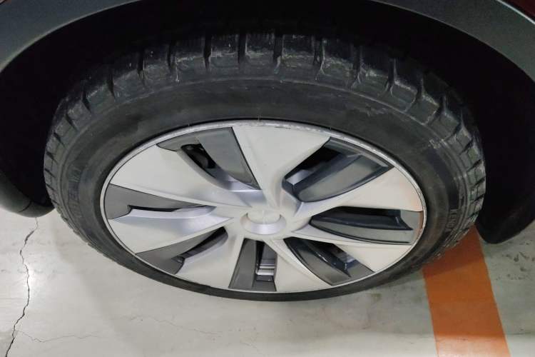 Used Tesla Model Y 2021 Long-Range All-Wheel-Drive Version Exterior 4
