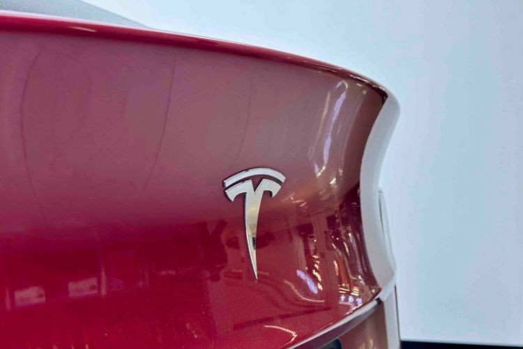 Used Tesla Model Y 2021 Standard Range Rear-Wheel Drive Version Exterior 7