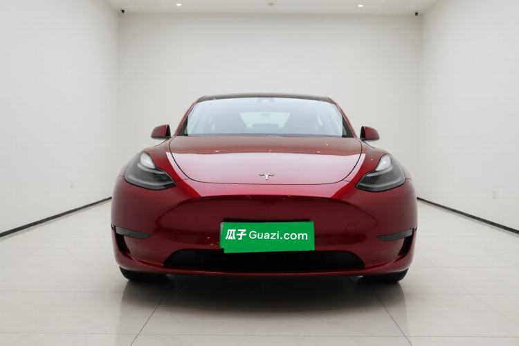 Used Tesla Model Y 2021 Performance High-Performance All-Wheel-Drive Version Front